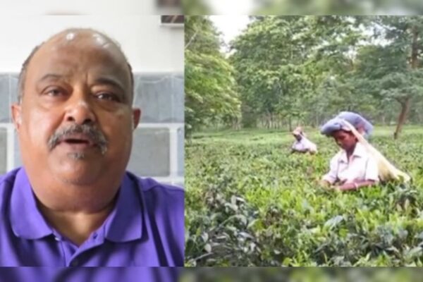 India became the third largest tea exporter, income of Rs 7,111 crore in 2024