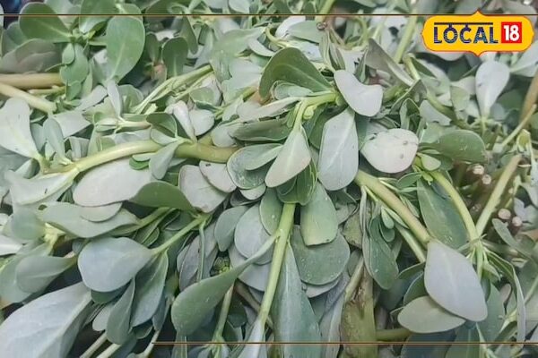 This green vegetable acts like a shield in front of the heat stroke, if you have included it in the diet, you will get freedom from many diseases