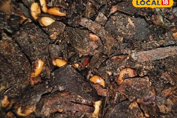 Miracle of nature … Relief from constipation provided in a pinch, skin shines in minutes