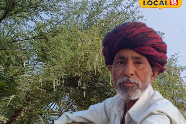This is not less than medicine, this desi tree, medicinal properties are full of its leaf and stem, knees will disappear in a pinch