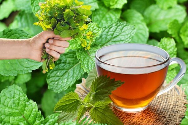 These are panacea in summer, these green leaves, stress and headache will eliminate tanta, will keep the body cool even in 40 degrees