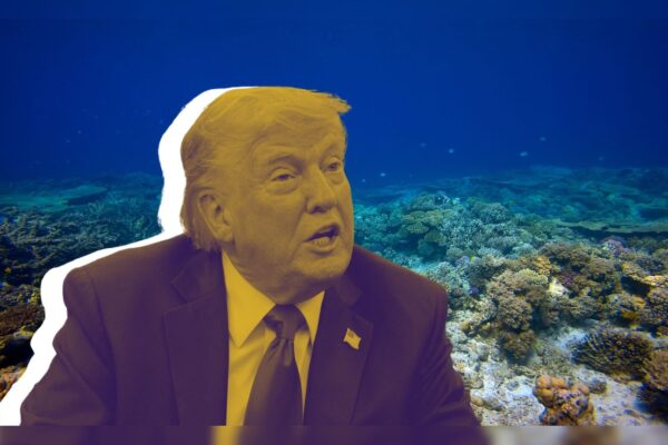 America went out to kill the sea precious ‘gems’, Trump’s order is the threat to the environment?