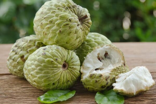 Custard Apple Boost Immunity Improve Digestion Sharifa Khane Ke Fayde: Eating Sharifa will strengthen Immunity, Digestion and Heart Health also beneficial