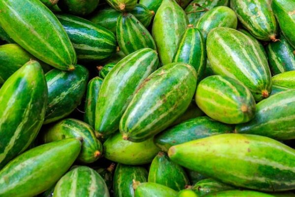 Parwal Benefits in Digestion Diabetes and Weight Loss: Benefits and disadvantages of eating parwal
