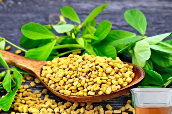 Soak Fenugreek Benefits: Tremendous benefits in the form of fenugreek seeds