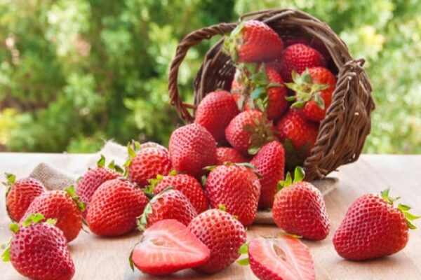 Strawberries Amazing Benefit- Diabetes and Fatty Liver Diseases