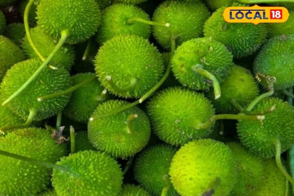 This green vegetable is more powerful than chicken-mutton, it makes a thin body like a strong iron, diabetes like an iron, it becomes disastrous