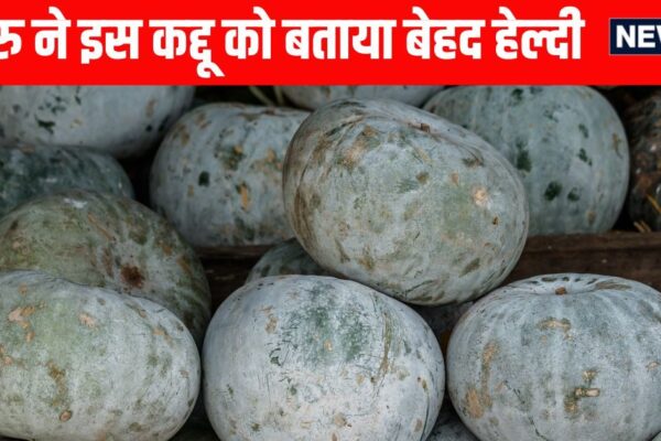 Ash Gourd Health Benefits: Saddguru told the benefits of eating white pumpkin