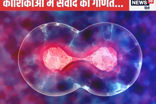 Revolution in the treatment of many diseases including BP, diabetes, exact attack with new technology of Nobage winning scientist