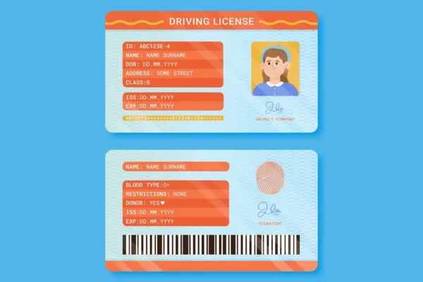 Get your learning driving license in a few minutes by spending an online test