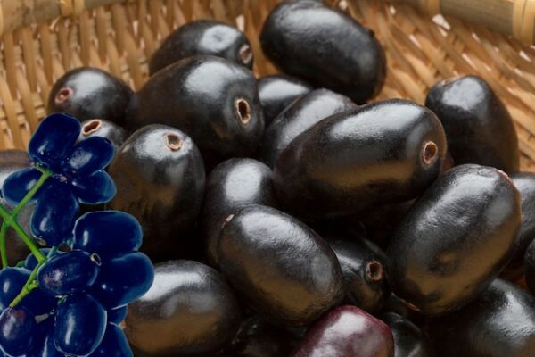 Jamun Seed Powder. Benefits of taking Jamun seed powder on an empty stomach in the morning.