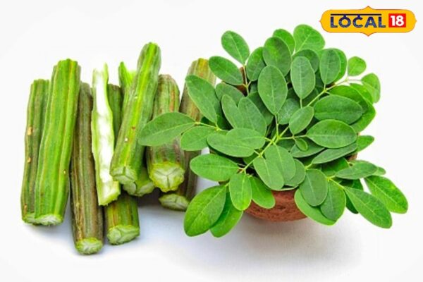 Blood sugar, cholesterol, swelling … These green leaves are for many diseases, Ayurveda told boon
