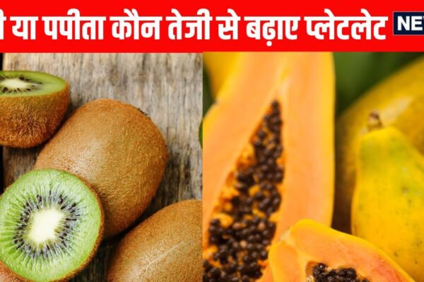 Papaya vs Kiwi which is healthier to boost platelet count. Kiwi better or papaya to increase platelets?