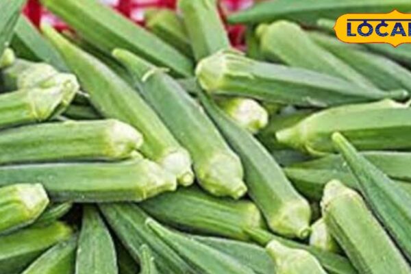 Which people should not eat lady finger, these 5 people should avoid them